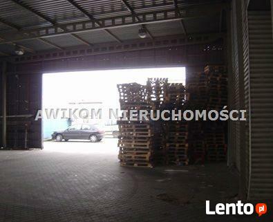 Powierzchnia biurowa Opacz-Kolonia gm. Michałowice