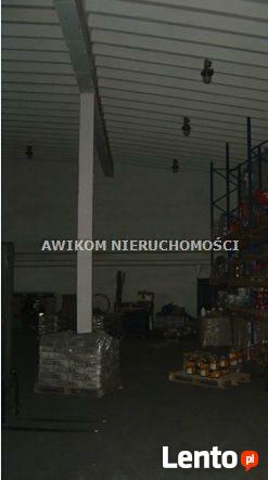 Powierzchnia biurowa Opacz-Kolonia gm. Michałowice