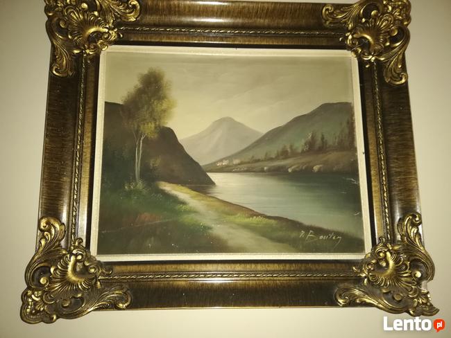 Sprzedam obrazy malowane na płótnie