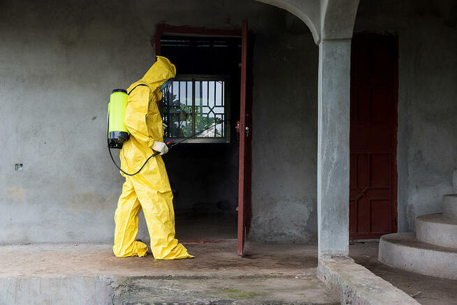 DDD KAJA DEZYNFEKCJA DEZYNSEKCJA DERATYZACJA