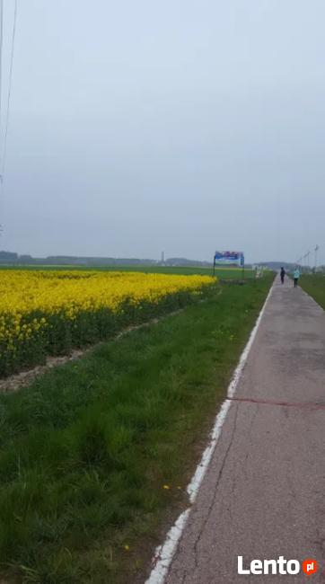 Działka p/dużą reklamę Billboard-Niechorze ul.Trzebiatowska