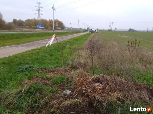 Działka p/dużą reklamę Billboard-Niechorze ul.Trzebiatowska