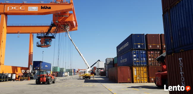 Wycinka drzew. Płock, Kutno, Żychlin, Płońsk i okolice.