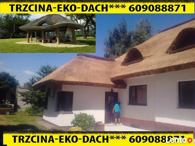 Altany Strzecha Domki letniskowe