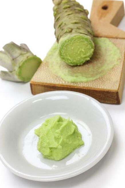 54 X WASABI PLANTS farm japan sushi seed plant