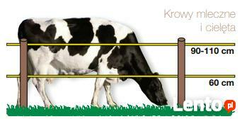 Pastuchy, kompletne ogrodzenia elektryczne.