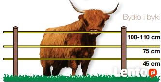 Pastuchy , ogrodzenia elektryczne