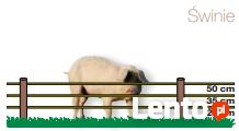 Pastuchy , ogrodzenia elektryczne