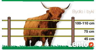 Sprzedaż pastuchów z ogrodzeniami elektrycznymi
