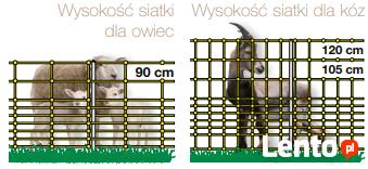 Pastuchy , ogrodzenia elektryczne