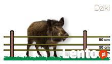 Pastuchy , ogrodzenia elektryczne