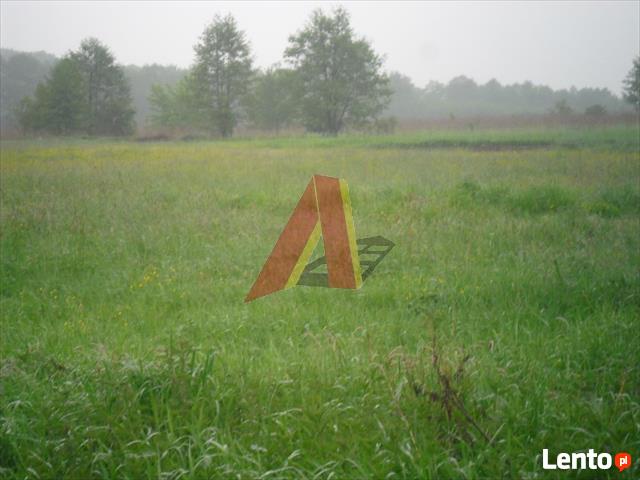 Działka rolna Modlnica gm. Wielka Wieś, Modlnica