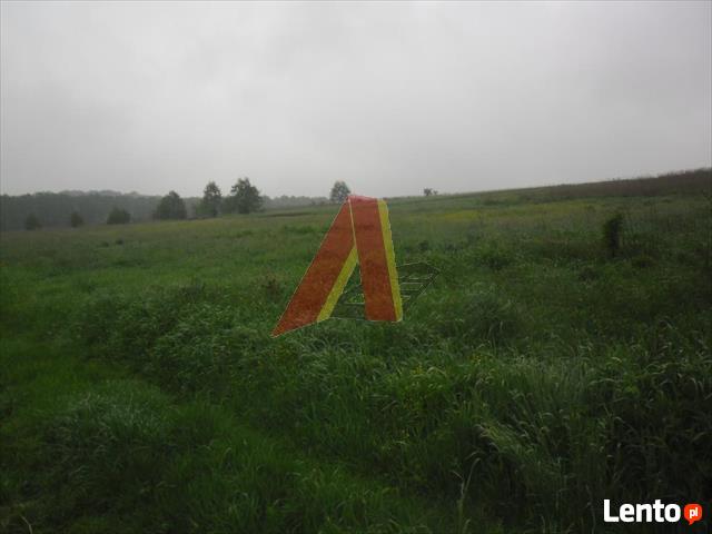 Działka rolna Modlnica gm. Wielka Wieś, Modlnica