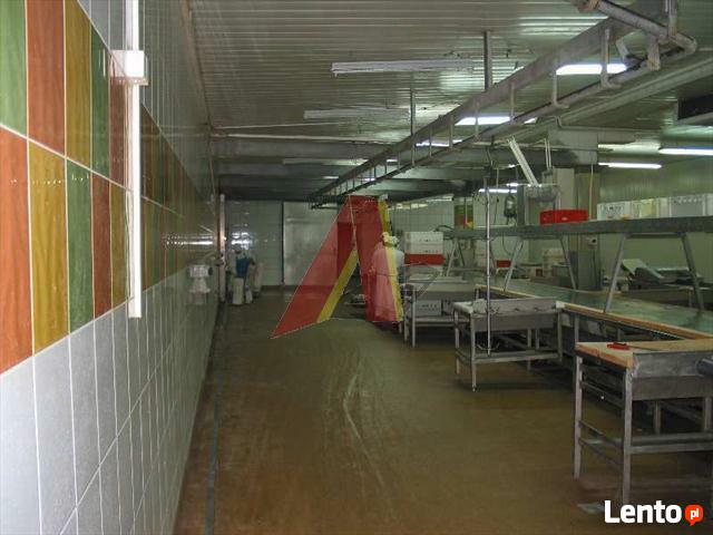 Lokal użytkowy Kraków Nowa Huta, Nowa Huta, Kocmyrzowska