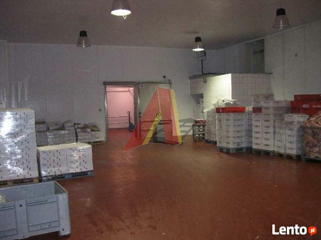 Lokal użytkowy Kraków Nowa Huta, Nowa Huta, Kocmyrzowska