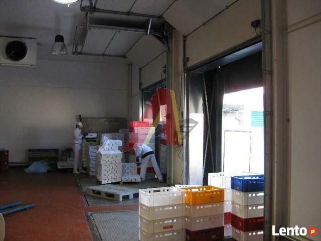 Lokal użytkowy Kraków Nowa Huta, Nowa Huta, Kocmyrzowska