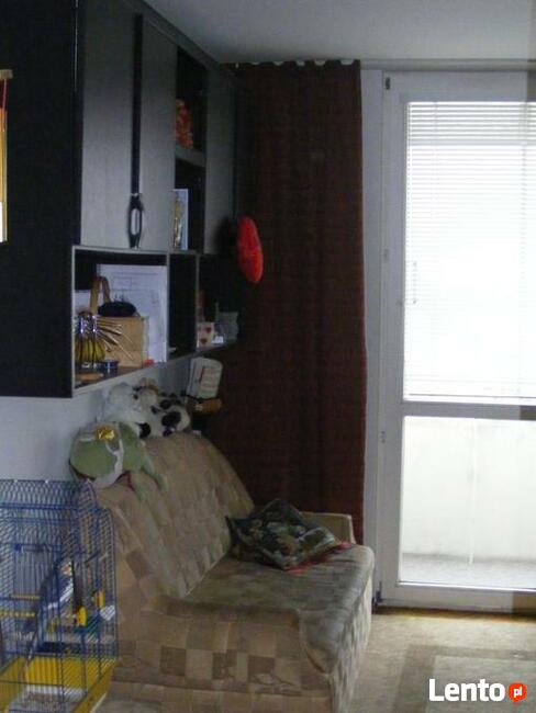 Do wynajęcia jeden pokój (18,3 m2) w mieszkaniu 55 m2 Bródno