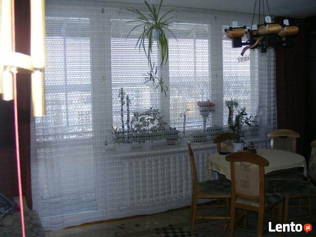 Do wynajęcia jeden pokój (18,3 m2) w mieszkaniu 55 m2 Bródno