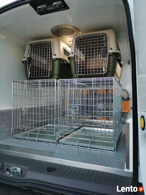 Fauna Service - profesjonalny transport zwierząt.