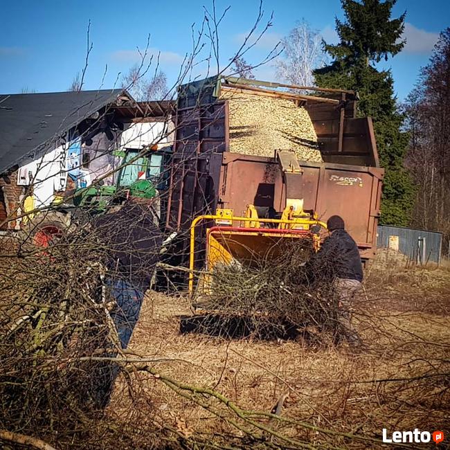 wycinka lasów, usługi rębakiem, frezowanie pni ,karczowanie