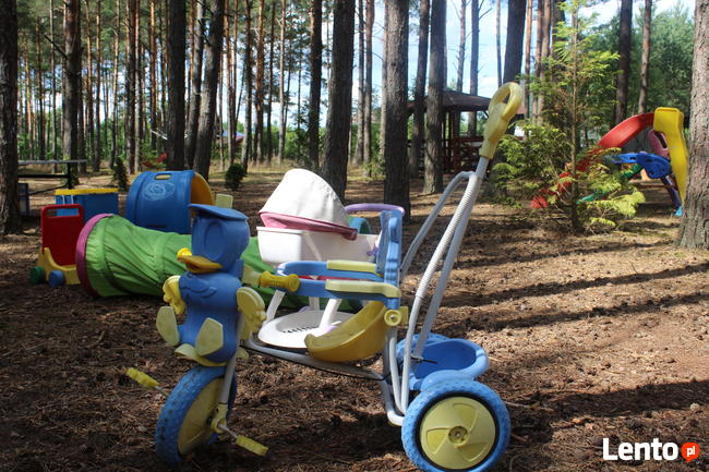 Ostrowite Bory Tuch Wakacje nad jeziorem Domki Pod Sosenką