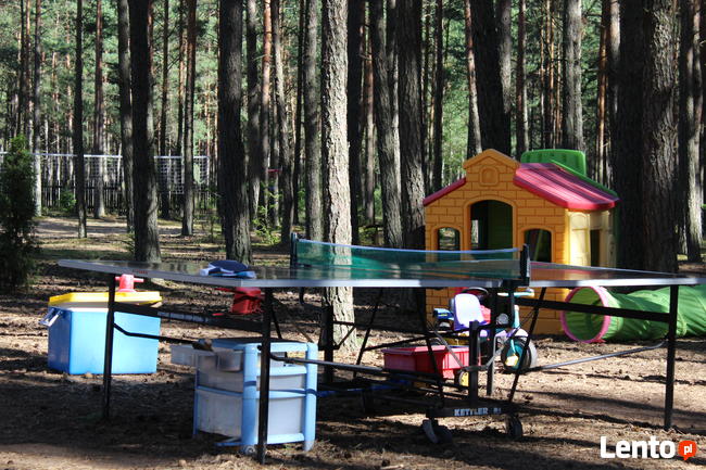 Ostrowite Bory Tuch Wakacje nad jeziorem Domki Pod Sosenką