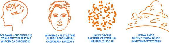 Zdrowsze powietrze w domu- antysmogowy jonizatory powietrza.
