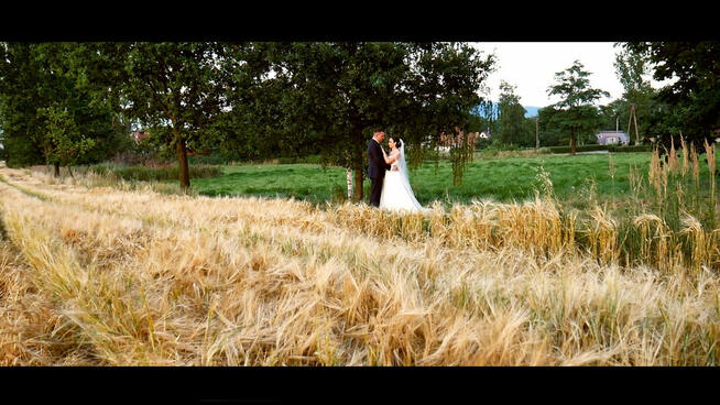 Wideofilmowanie Świdnica, Kamerzysta Świdnica, Wałbrzych
