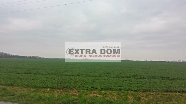60 ha w jednym rozłogu