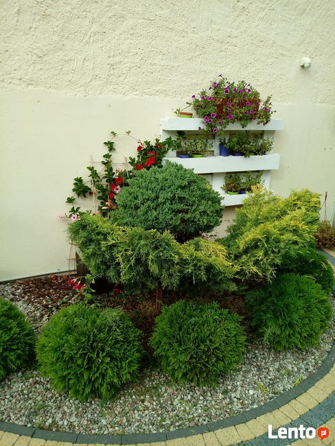 Firma uslugi ogrodnicze , OGRODY