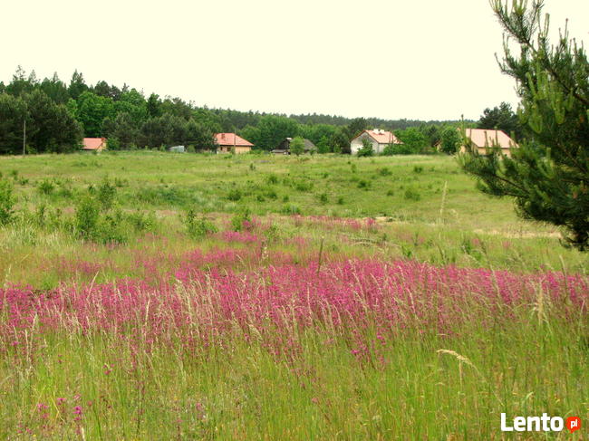 Działka budowlana 758 m2 - Łapka k/Barczewa