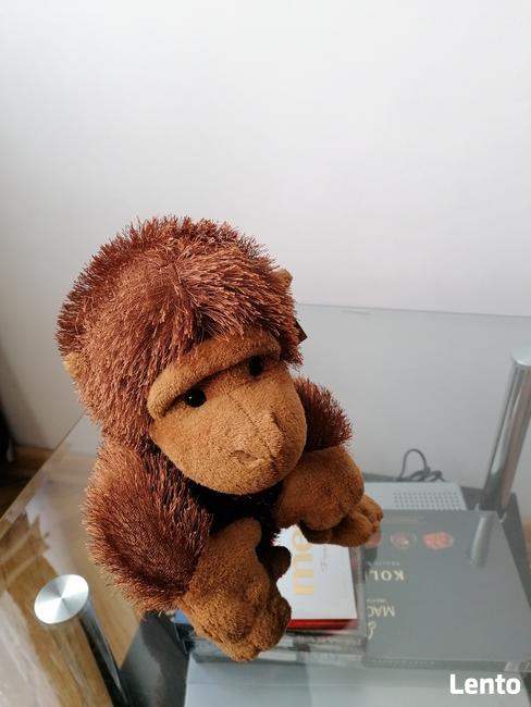 INTERAKTYWNA PLUSZOWA TAŃCZĄCA I ŚPIEWAJĄCA MAŁPKA