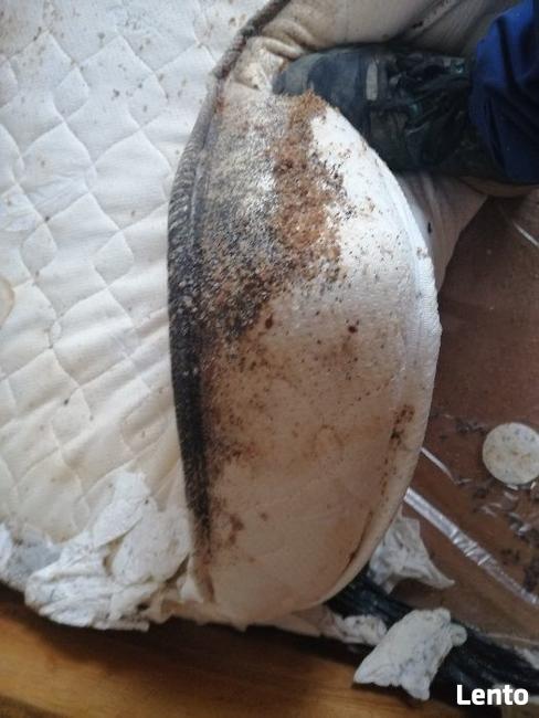 Opróżnianie Sprzątanie mieszkań komórek działek domów garaży