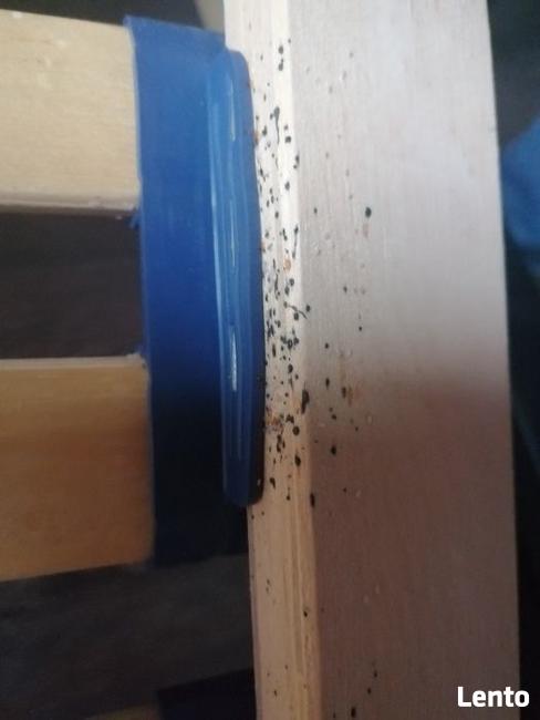 Usuwanie pluskwy pluskiew odpluskwianie dezynsekcja Łódź