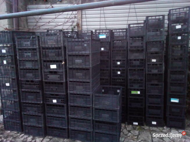 Skrzynki Kosze plastikowe duży wybór rozmiarow