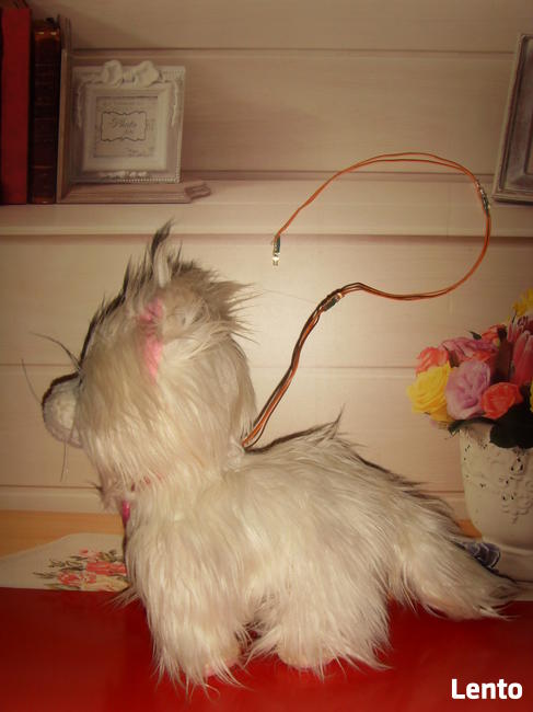 KOT INTERAKTYWNY CASSY, ZABAWKA, POMYSŁ NA PREZENT =WROCŁAW=