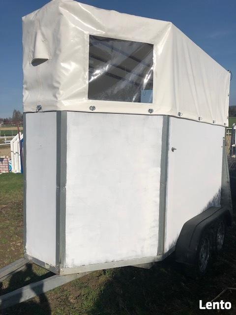 wynajem bukmanka przyczepa końska 1 konia 1 kon oraz 2 konna