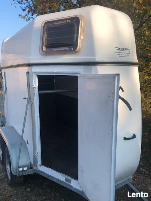 wynajem bukmanka przyczepa końska 1 konia 1 kon oraz 2 konna