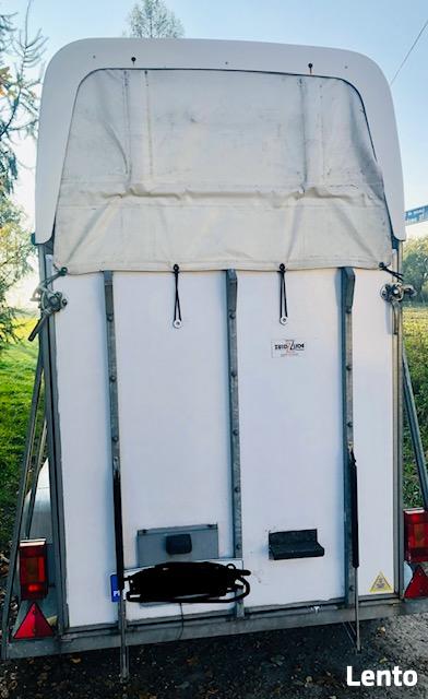 wynajem bukmanka przyczepa końska 1 konia 1 kon oraz 2 konna