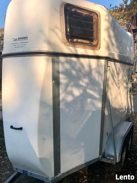 wynajem bukmanka przyczepa końska 1 konia 1 kon oraz 2 konna