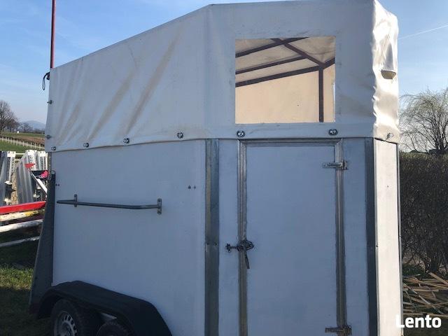 wynajem bukmanka przyczepa końska 1 konia 1 kon oraz 2 konna