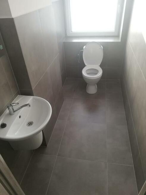 wynajmę pomieszczenia biurowe, usługowe