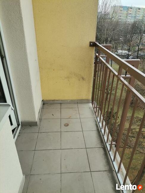 Likwidacja wyburzenia Opróżnianie mieszkań domw piwnic WYWÓZ