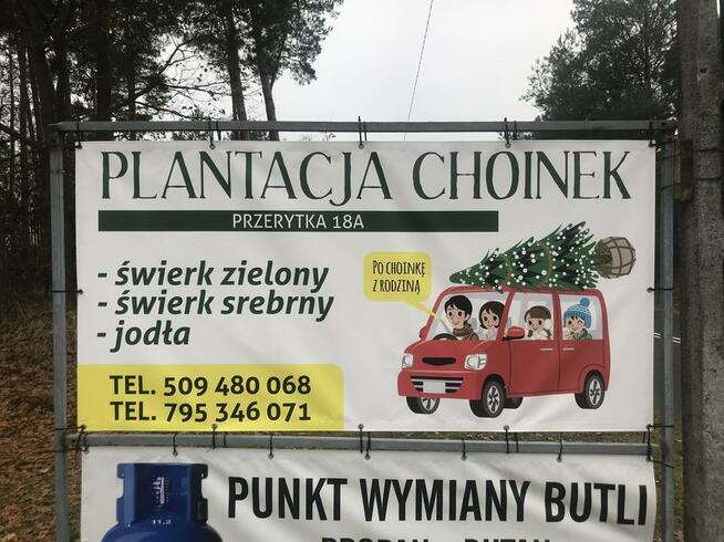 Choinki zielone i srebrne