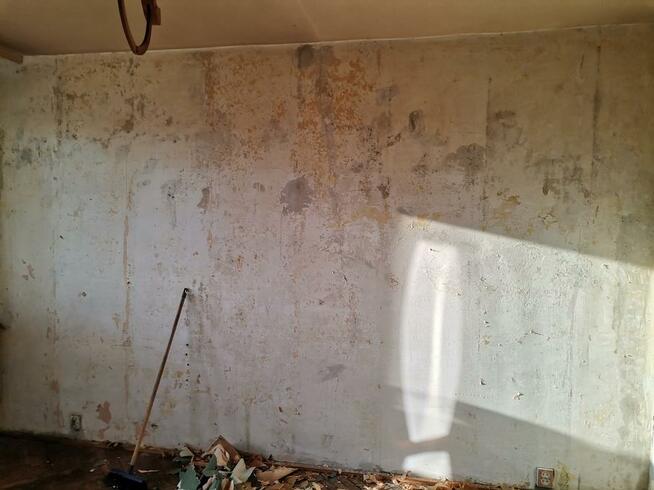 Utylizacja mieszkań domów piwnic strychów działek posesji