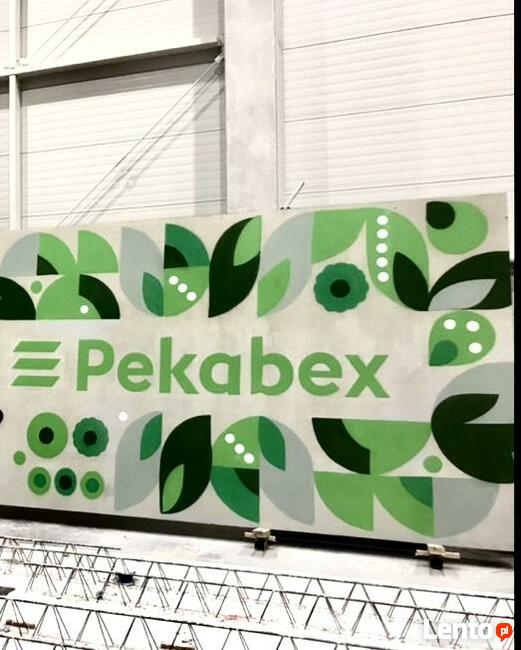 Artystyczne malowanie, Mural, graffiti, fototapeta