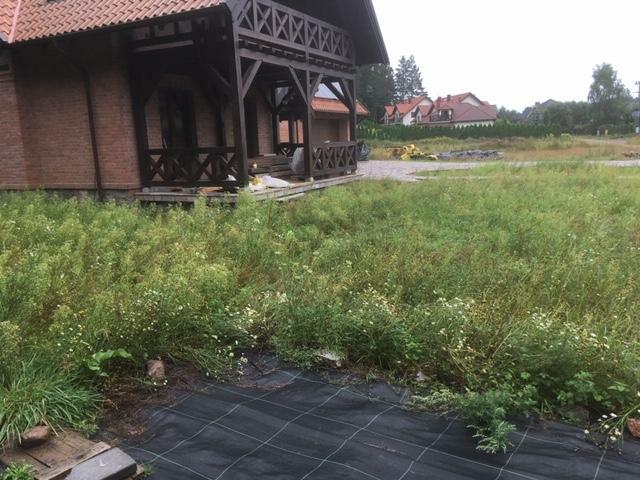 Mulczer Leśny/Mulczowanie/karczowanie/ usuwanie samosiejek