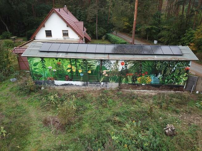 Artystyczne malowanie, Mural, graffiti, fototapeta