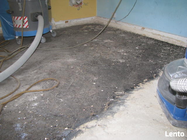 USUWANIE SUBITU LEPIKU WROCŁAW Świdnica, ZielonaG, Głogów