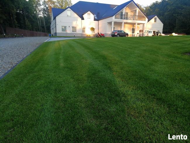 Trawniki od podstaw, nasadzenia Roślin SYSTEMY NAWADNIANIA